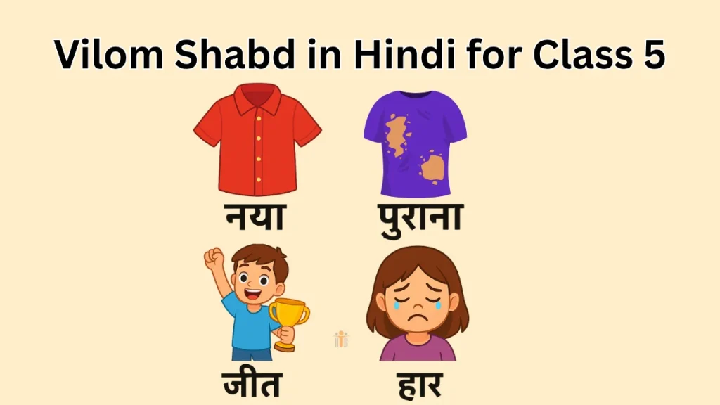 Vilom Shabd in Hindi for Class 5